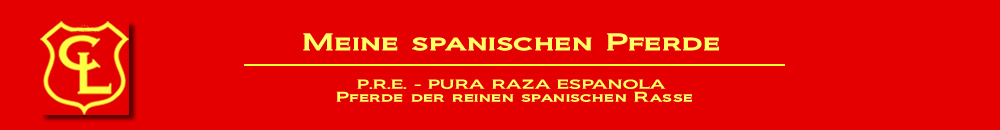 www.Meine-Spanischen-Pferde.de - Verkaufspferde der spanischen Rasse
